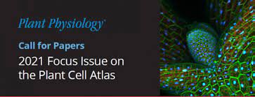 We did not find results for: Plantae Plant Physiology Call For Papers 2021 Focus Issue On The Plant Cell Atlas Plantae