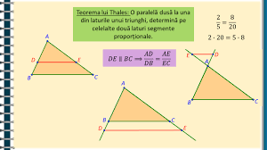 0 stele 0 review uri. Matera