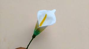 Hallo sahabatku kali ini saya berbagi ide kreatif cara membuat bunga tulip dari kantong plastik. Diy How To Make A Felt Violet Vase Tutorial Come Realizzare Un Vaso Di Violette In Feltro Youtube Rosa In Feltro Fiori Di Feltro Rose In Feltro