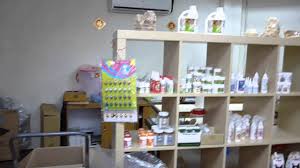 Register for a free account. Penang Pet Shop Alan Pet Shop Youtube