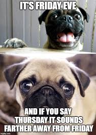 It means we do parties, all kinds of impulsive actions, take a relaxation, do crazy things and read friday 13th meme too. Pugs Memes Gifs Imgflip