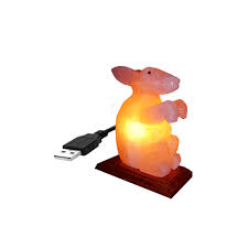 Why is it better than table salt? Himalayan Salt Rabbit Shape Mini Usb Lamp Hr Salt