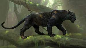 Choose through a wide variety of black panther wallpaper, find the best picture available. Hd Wallpaper Black Panther Digital Art Animal Themes Animal Wildlife One Animal Wallpaper Flare