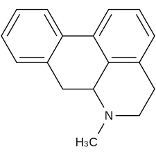 Image result for Antizoma angustifolia