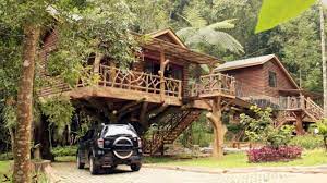 Taman safari merupakan tempat yang cukup banyak di kunjungi jika bersama dengan keluarga. Menikmati Alam Menginap Di Rumah Pohon Tsi Cisarua Warta Kota