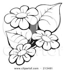 Thousands pictures for downloading and printing! Outline Of Black And White Flowers Posters Art Prints By Interior Wall Decor 213481