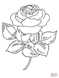 Blooming Rose Coloring Page Free Printable Coloring Pages Rose Coloring Pages Free Coloring Pages Flower Coloring Pages