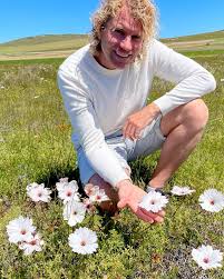 Image result for Monsonia senegalensis