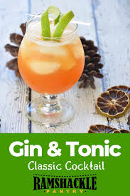 A Simple Classic Gin And Tonic Cocktail Can Define Your Skills As A Home Bartender Get The Secrets And Recip Beautiful Drink Recipe Tonic Recipe Gin And Tonic