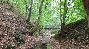 Üdvözlünk a mecsek háza megújult honlapján! Der Vizfo Lehrpfad Der Durch Den Wald Im Mecsek Fuhrt Wunderbaresungarn De