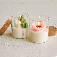 Terrarium Candle Terrarium Candle Cactus Candles Cute Candles