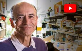 Thomas Südhof, Nobel Prize in Medicine