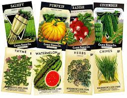 Seed Pack Stickers Card Making Real Adhesive Stickers Etsy Vegetable Seed Vegetable Seeds Packets Seed Pack