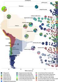 How Mountains Shape Biodiversity The Role Of The Andes In