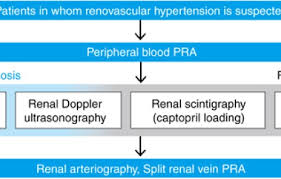 And renal parenchymal disease refers to the damage that occurs in renal parenchyma. Chapter 12 Secondary Hypertension Hypertension Research