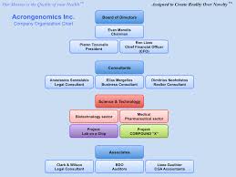 company organization chart