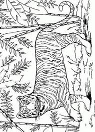 Indeed, coloring books are selling well in the adult market. Jungle Coloring Pages
