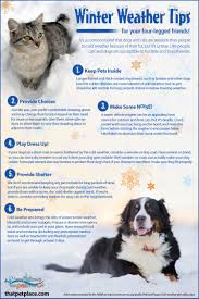 Winter Weather Tips For Pets Visual Ly Pet Safety Pets Pet Life