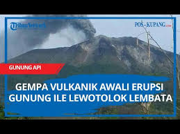 Gempa bumi yang sering terjadi di indonesia biasanya merupakan gempa bumi tektonik dan gempa bumi vulkanik. Gempa Vulkanik Awali Erupsi Gunung Ile Lewotolok Lembata Youtube