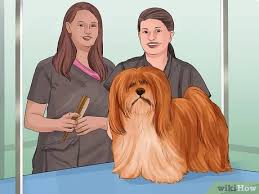 Dog grooming at your home in beverly hills, brentwood, hollywood, pacific palisades, studio city and many cities surrounding los angeles! How To Start A Mobile Pet Grooming Service With Pictures