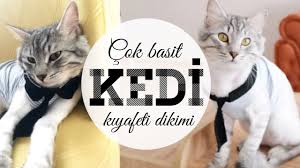 Kravatli Kedi Kiyafeti Dikimi Cok Basit Diy Cat Dress Youtube