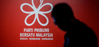 On 4 january 2021, nurul zahid was appointed as a corporate member for sme corp and several news portals reported it with the headline anak zahid… which translates to zahid's daughter…. Umno Tolak Kerjasama Dalam Perikatan Nasional Sahih