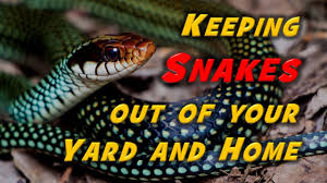 I doubt toads keep snakes away. Keeping Snakes Away Advice From A Wildlife Biologist Field Ecology