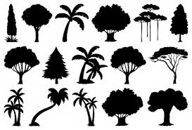 Tree vector set a transparent background. Tree Silhouette Images Free Vectors Stock Photos Psd