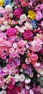 Shop the latest pink rose wallpaper deals on aliexpress. Best Rose Iphone X Hd Wallpapers Ilikewallpaper