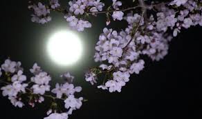 Pink Moon Spiritual Meaning What Is The Meaning Behind The Supermoon Tonight Science News Express Co Uk