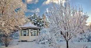 Reykjavik Botanical Gardens Iceland By Offiof Winter Garden Diy Garden Fountains Botanical Gardens