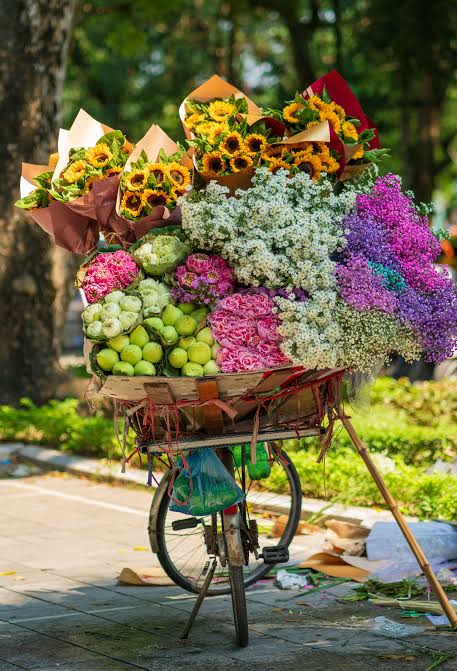 Colorful Flower Bicycle in Hanoi Vietnam · Free Stock Photo
