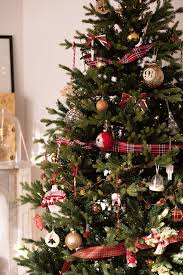 Check spelling or type a new query. Deux Chats Un Sapin De Noel Carnet Prune Blog Lifestyle
