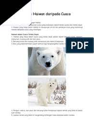 Check spelling or type a new query. Perlindungan Haiwan Daripada Cuaca Melampau