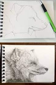 Pin On Learn To Draw