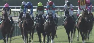 Yooxygenはサステナブルなファッションに捧げられたエリアです。 社会・環境面でポジティブな影響を生むブランドのアイテムを通じて、変化を導きましょう。 vogue yoox challenge サステナビリティに捧げられたコンテスト. Oqc5yk4kl3c4gm