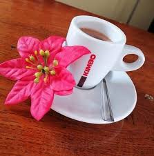 Kaffe Bar ADINA
