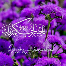 pin by مشكاة الروض on صور good morning flowers islamic images good morning images
