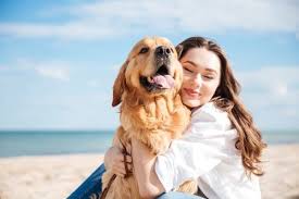 Organiser des promenades pour votre chien. Comment Faire Garder Son Chien Son Chat Gratuitement