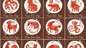 7400 Koleksi Gambar Binatang Pakong Yang Baru Gratis Terbaik Gambar Hewan