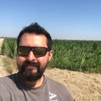 8 "Augusto Carrillo" profiles