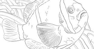 100 gambar pemandangan alam pantai gunung laut dll. Lukisan Dasar Laut Yang Mudah Literatur