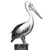 The official instagram of the new orleans pelicans linkin.bio/pelicansnba. Https Encrypted Tbn0 Gstatic Com Images Q Tbn And9gcqpwolbxn89heowzqf Rcfvujuxulqbluqj Bbq3ljvrrwpdvww Usqp Cau