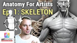 Discover his tips for drawing realistic anatomical figures! Anatomy For Artists Skeleton 101 Youtube