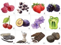Red Wine Aroma Kits Wine Aroma Kit Red Wine Wine Tasting