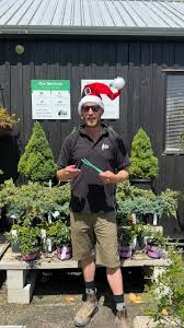 The Little Big Tree Company...