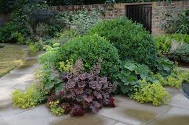 Buxus Balls Garden Design Vegetable Garden Design Pallet Garden