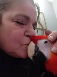 Beth's Bird Rescue and Sanctuary