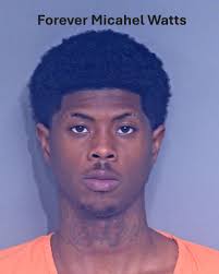 Bay Minette Police...