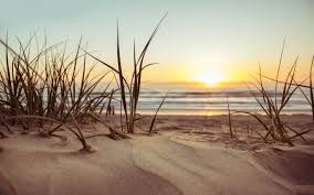 Robert frost love poems quotes. Robert Frost Quotes 25 Beautiful Thoughts From This Famous Poet The Mindful Word